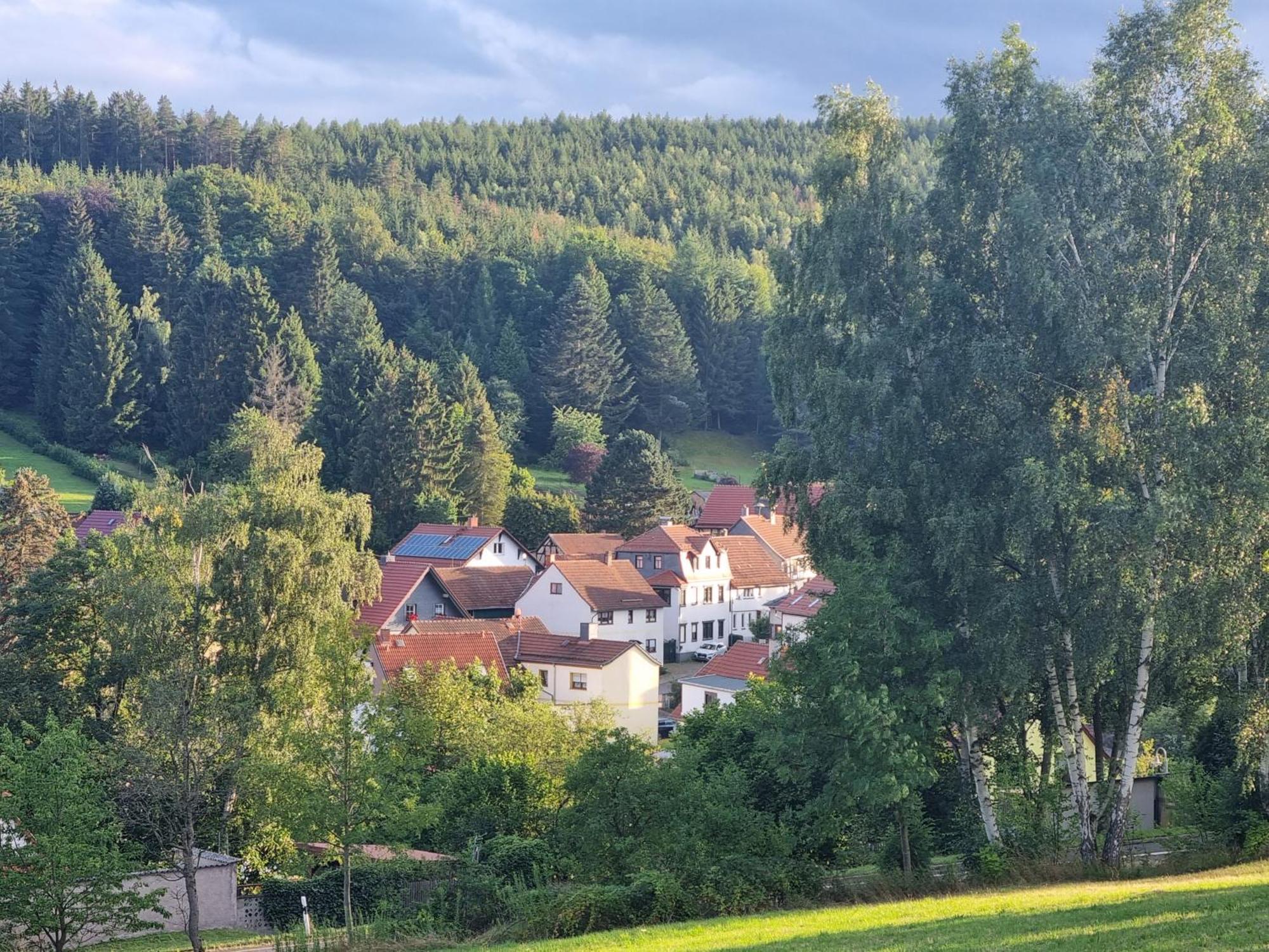 Superior - Ferienhaus Am Engelsbach Im Thueringer Wald Exterior photo
